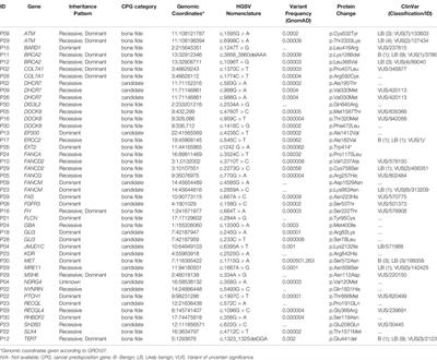 Unraveling the Genetic Architecture of Hepatoblastoma Risk: Birth Defects and Increased Burden of Germline Damaging Variants in Gastrointestinal/Renal Cancer Predisposition and DNA Repair Genes